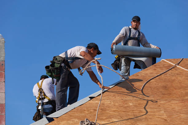 Best Gutter Installation and Roofing  in Carter, TX
